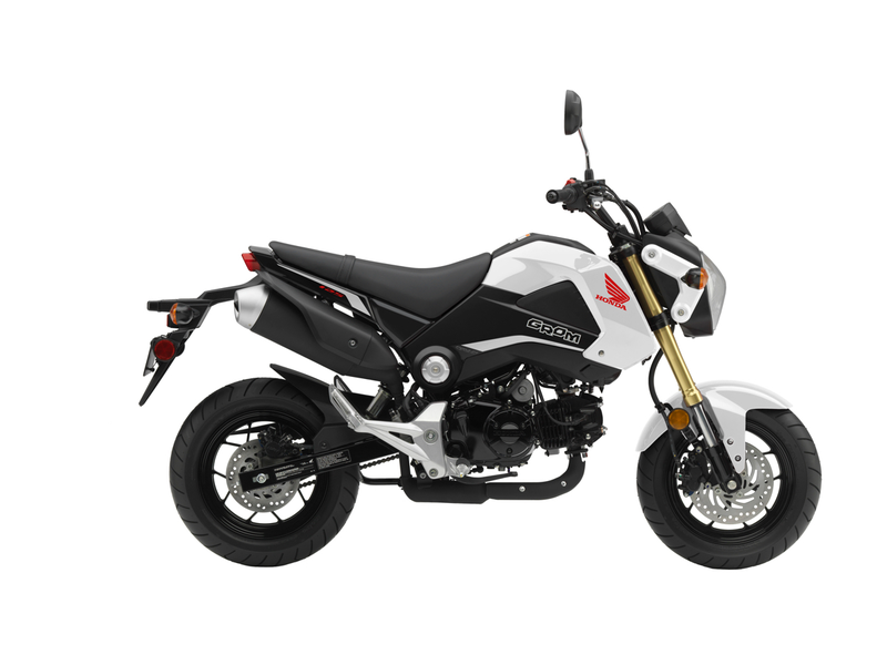 Illustration for article titled This Is Your Very Important Honda Grom Announcement Of The Day